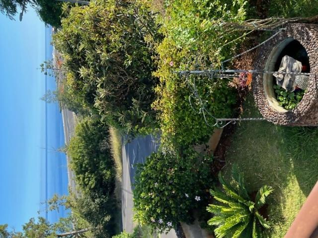 Vila Gama Apartamentos Rodeados De Natureza Machico  Eksteriør bilde