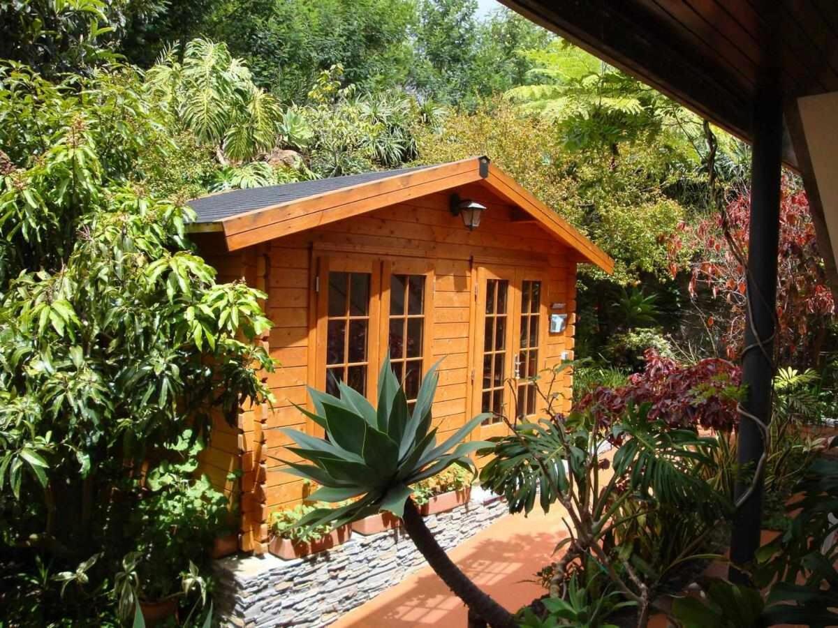 Vila Gama Apartamentos Rodeados De Natureza Machico  Eksteriør bilde