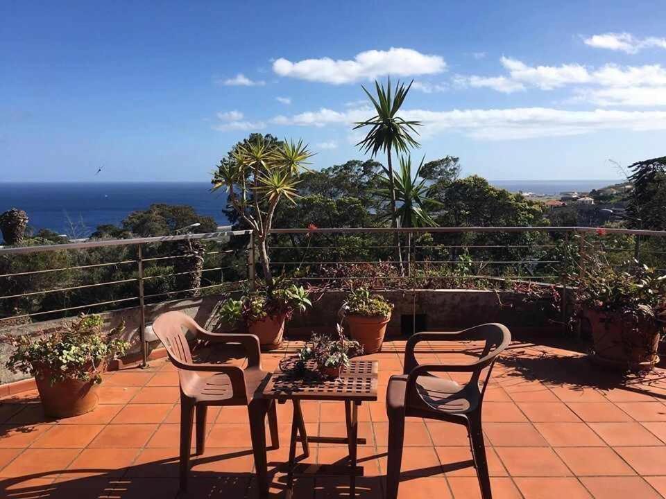 Vila Gama Apartamentos Rodeados De Natureza Machico  Eksteriør bilde